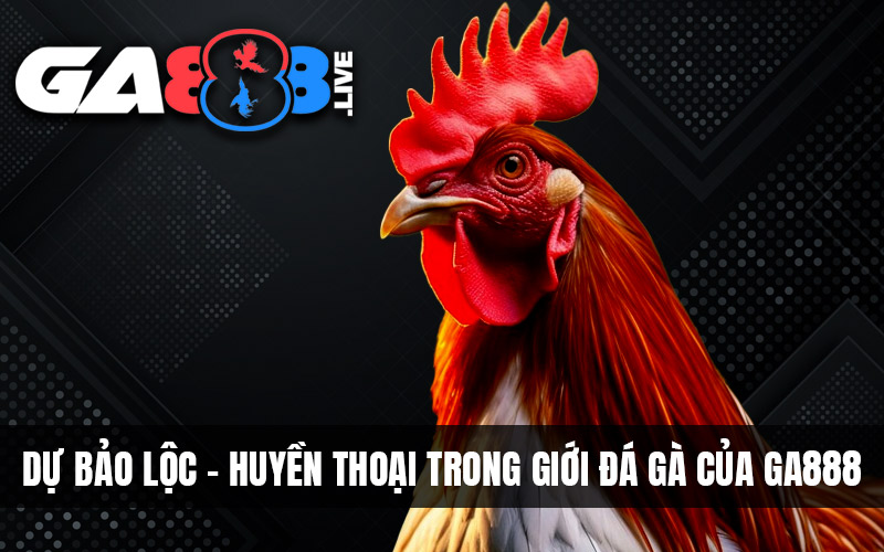 Dự Bảo Lộc – Huyền Thoại Trong Giới Đá Gà Của GA888 Dự Bảo Lộc - Huyền Thoại Trong Giới Đá Gà Của GA888