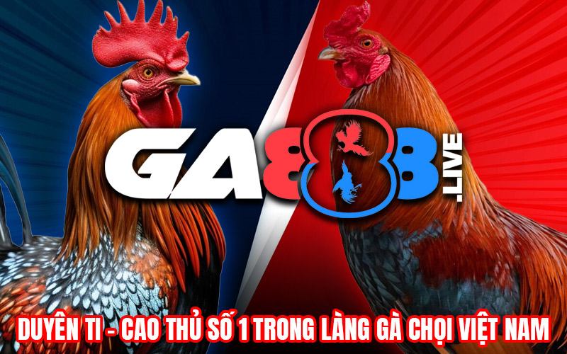 Duyên Ti – Cao Thủ Số 1 Trong Làng Gà Chọi Việt Nam Duyên Ti - Cao Thủ Số 1 Trong Làng Gà Chọi Việt Nam