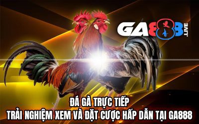Đá Gà Trực Tiếp – Trải Nghiệm Xem Và Đặt Cược Hấp Dẫn Tại GA888