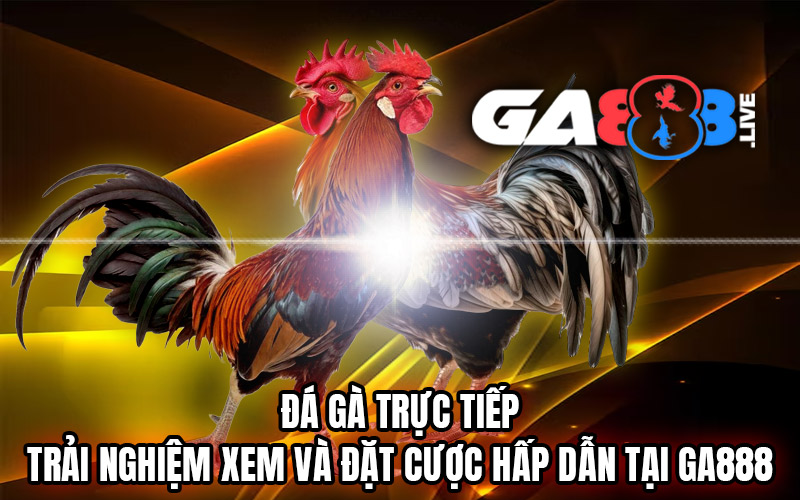Đá Gà Trực Tiếp – Trải Nghiệm Xem Và Đặt Cược Hấp Dẫn Tại GA888 Đá Gà Trực Tiếp - Trải Nghiệm Xem Và Đặt Cược Hấp Dẫn Tại GA888
