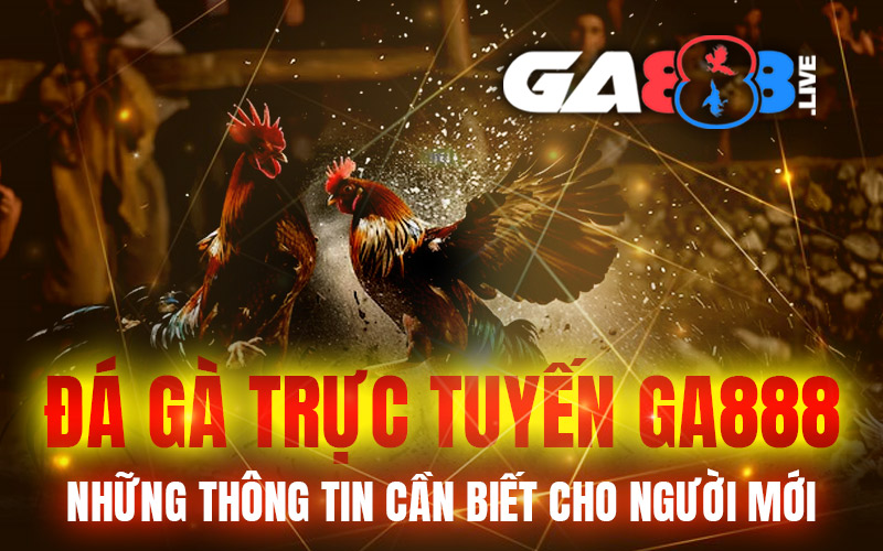 Đá Gà Trực Tuyến GA888 – Những Thông Tin Cần Biết Cho Người Mới