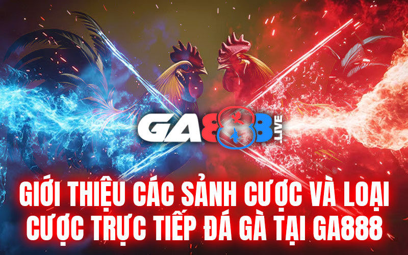 Giới thiệu các sảnh cược và loại cược trực tiếp đá gà tại GA888 Giới thiệu các sảnh cược và loại cược trực tiếp đá gà tại GA888